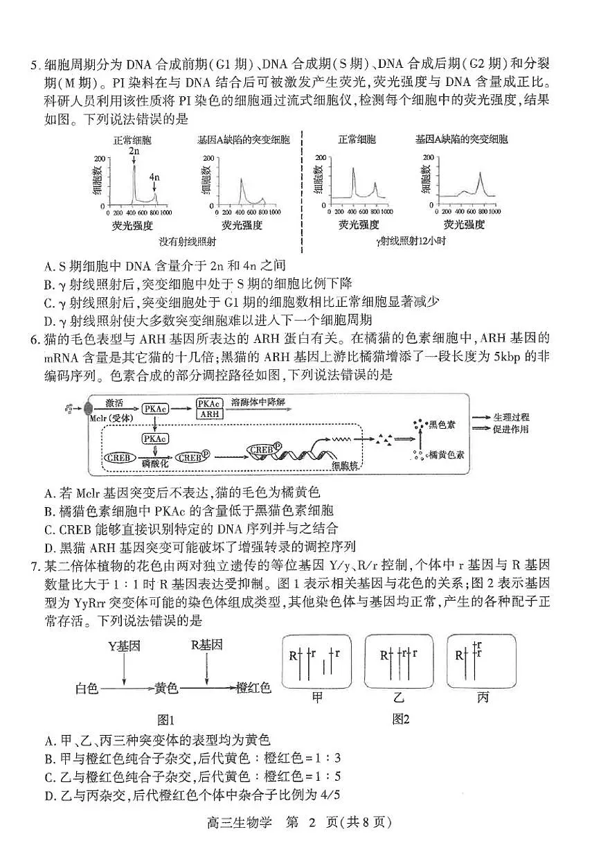 山东省潍坊市2025届高三三模 生物试题+答案第2页
