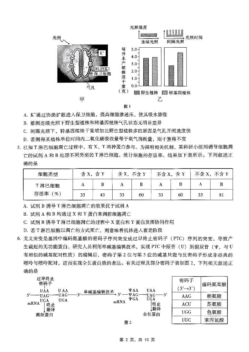 重庆市巴蜀中学2025届高考适应性月考卷（九）生物第2页