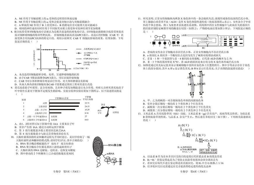 安徽省合肥一中2025届高三高考模拟最后一卷-生物试题+答案第2页