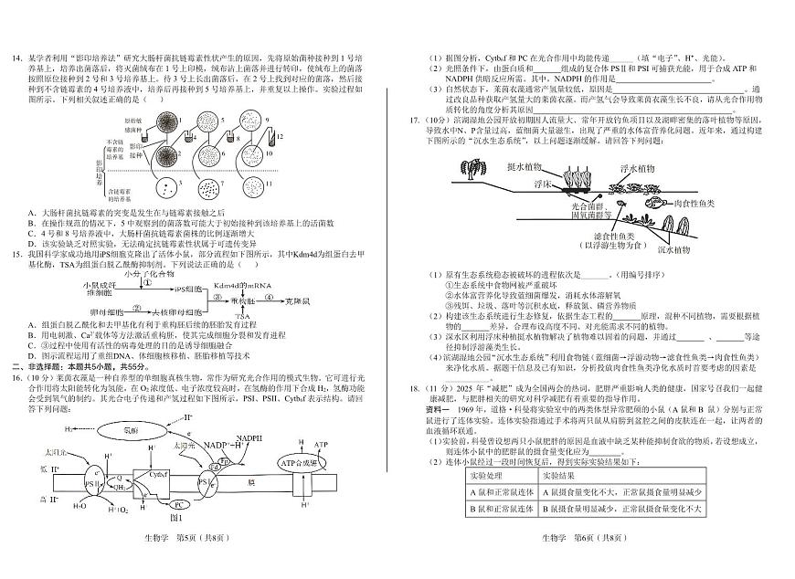 安徽省合肥一中2025届高三高考模拟最后一卷-生物试题+答案第3页
