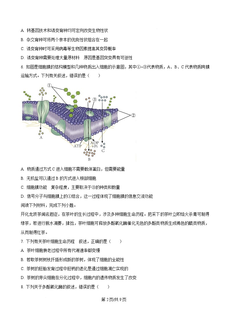 浙江省衢州五校2024-2025学年高一下学期4月期中生物试题（原卷版）第2页