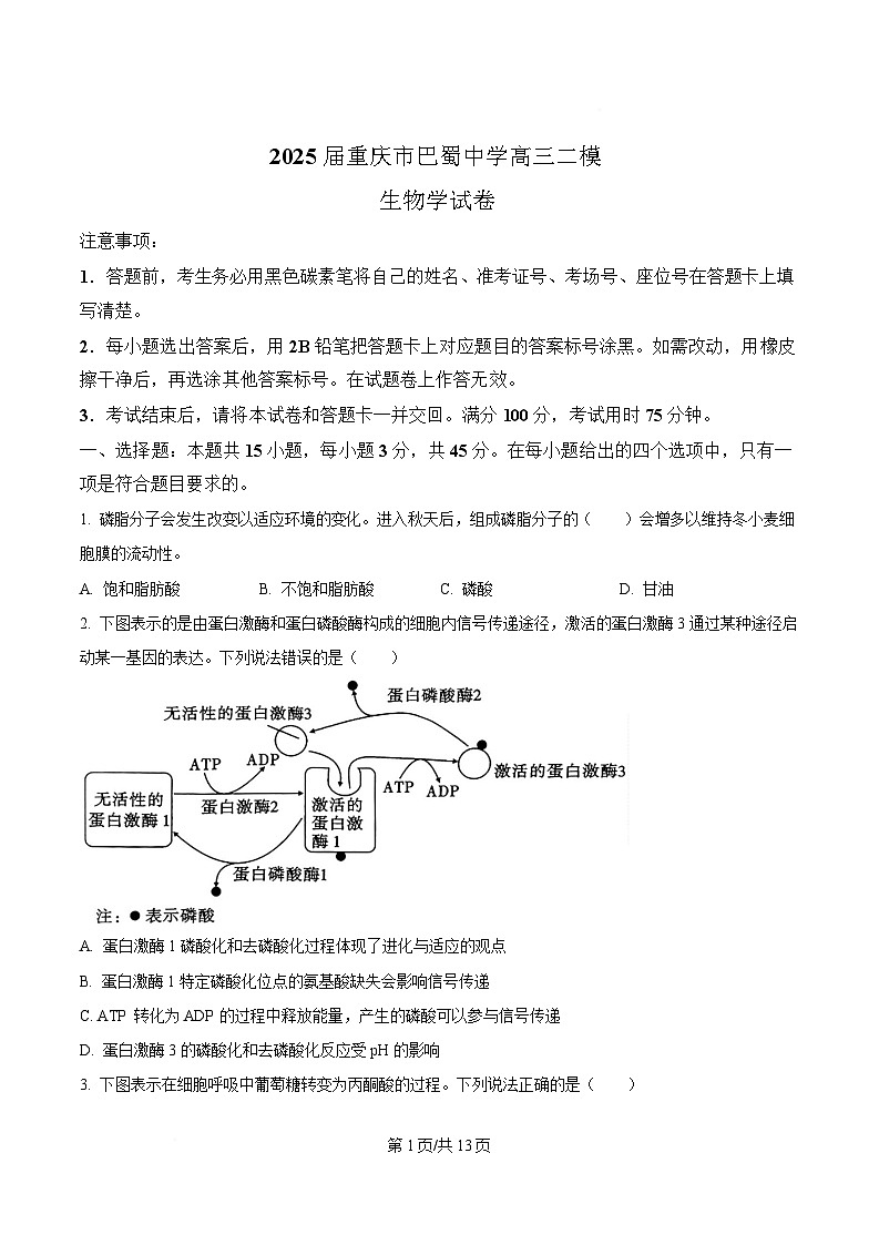 重庆市巴蜀中学2025届高三下学期二模考试生物试题（原卷版）第1页