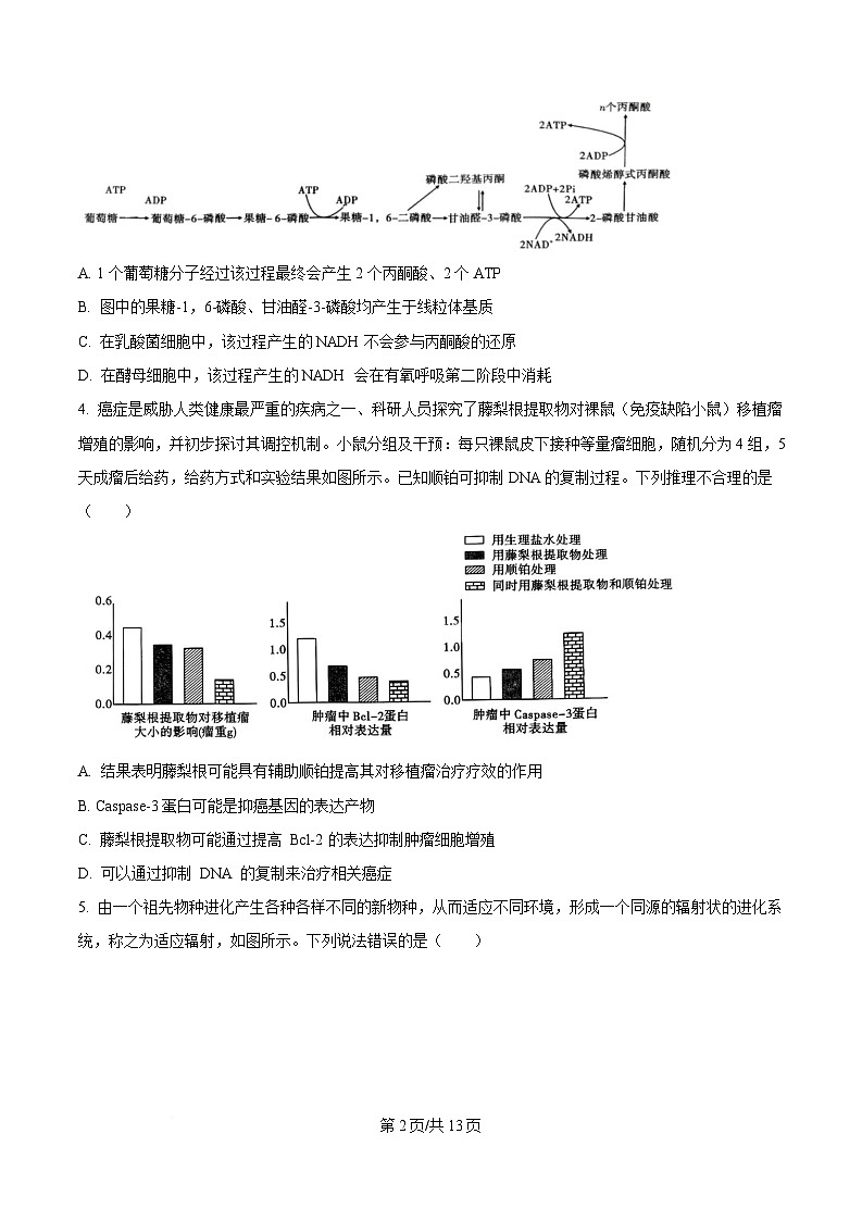 重庆市巴蜀中学2025届高三下学期二模考试生物试题（原卷版）第2页