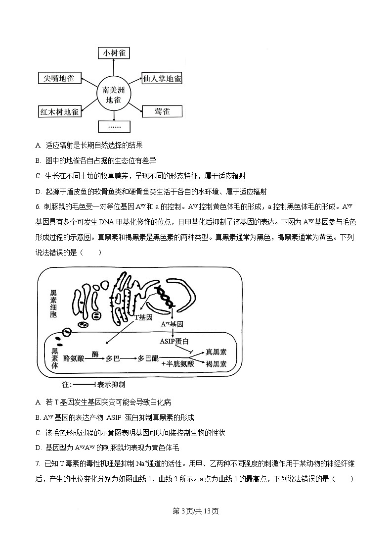 重庆市巴蜀中学2025届高三下学期二模考试生物试题（原卷版）第3页