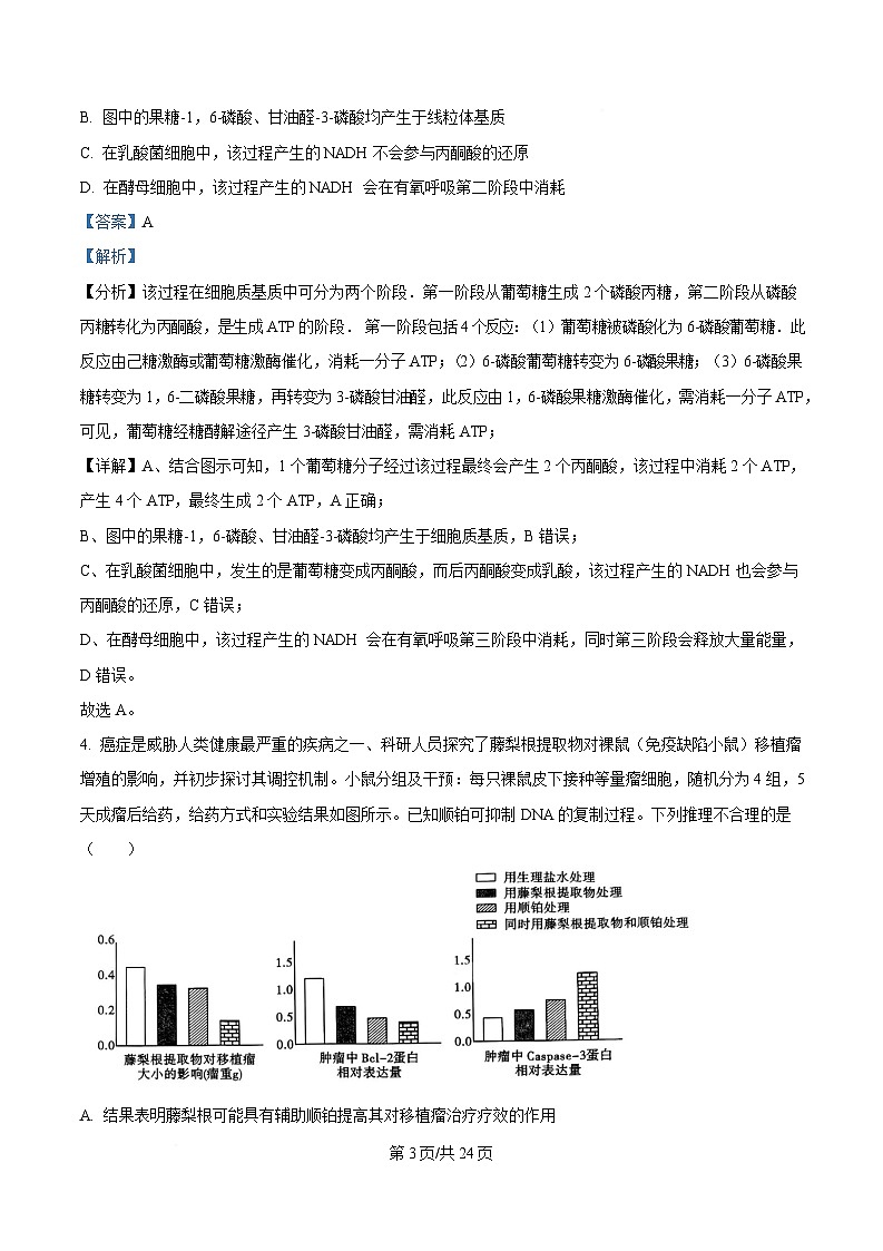 重庆市巴蜀中学2025届高三下学期二模考试生物试题 Word版含解析第3页