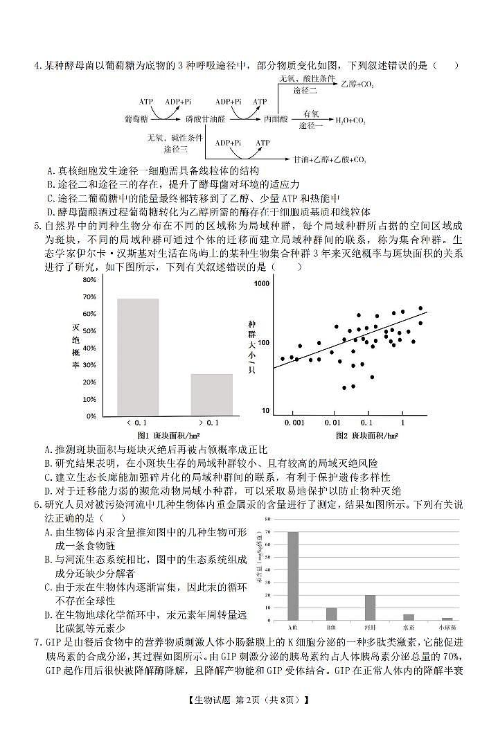 合肥八中最后一卷  生物  试卷第2页