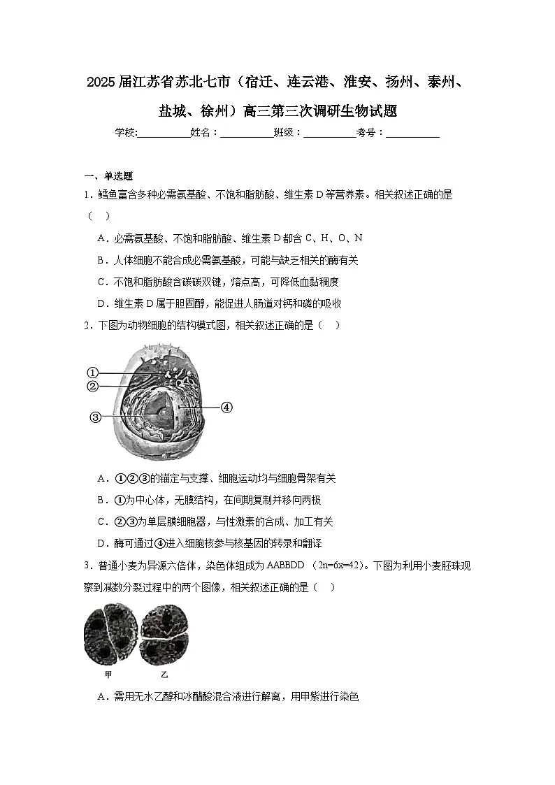 2025届江苏省苏北七市（宿迁、连云港、淮安、扬州、泰州、盐城、徐州）高三第三次调研生物试题第1页
