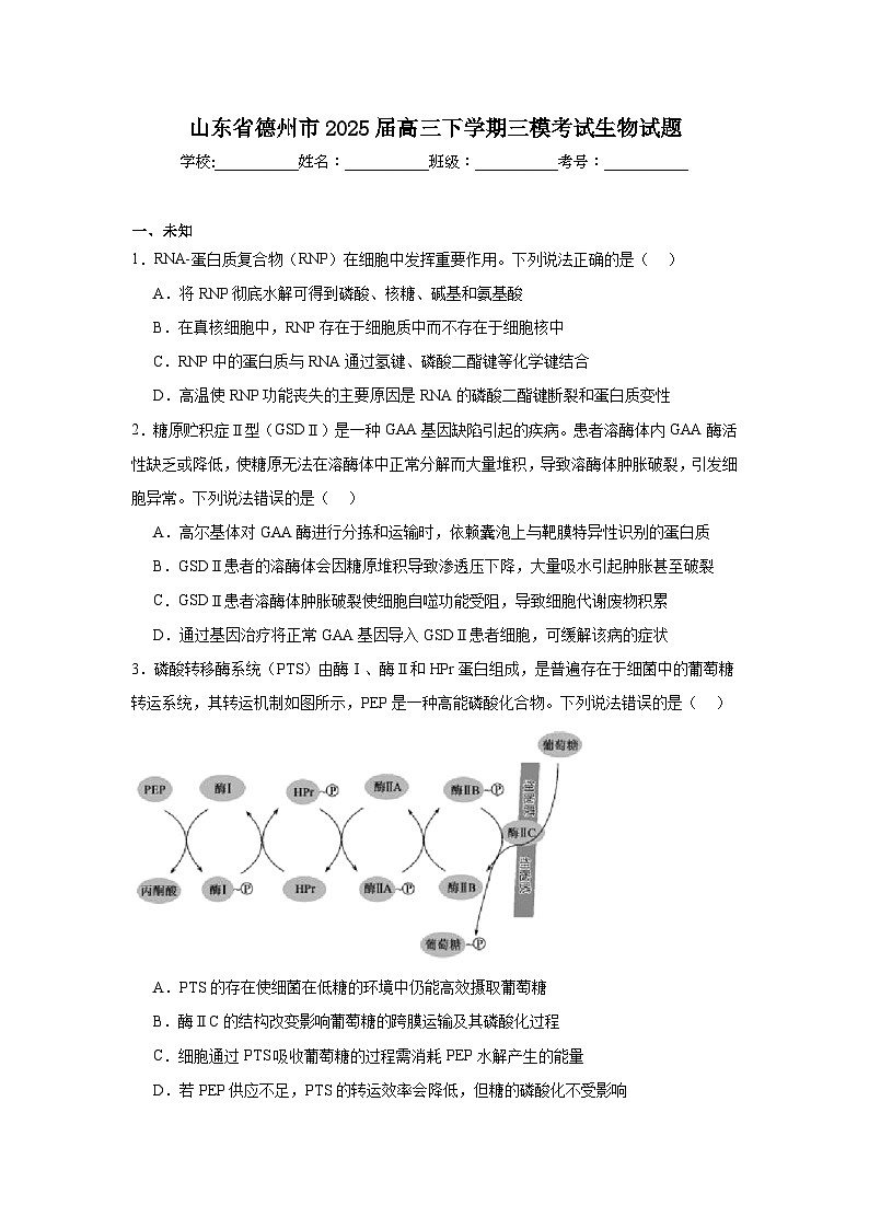 山东省德州市2025届高三下学期三模考试生物试题（无答案）第1页