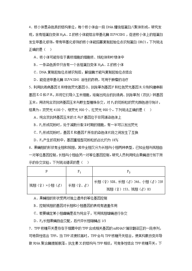 山东省德州市2025届高三下学期三模考试生物试题（无答案）第2页