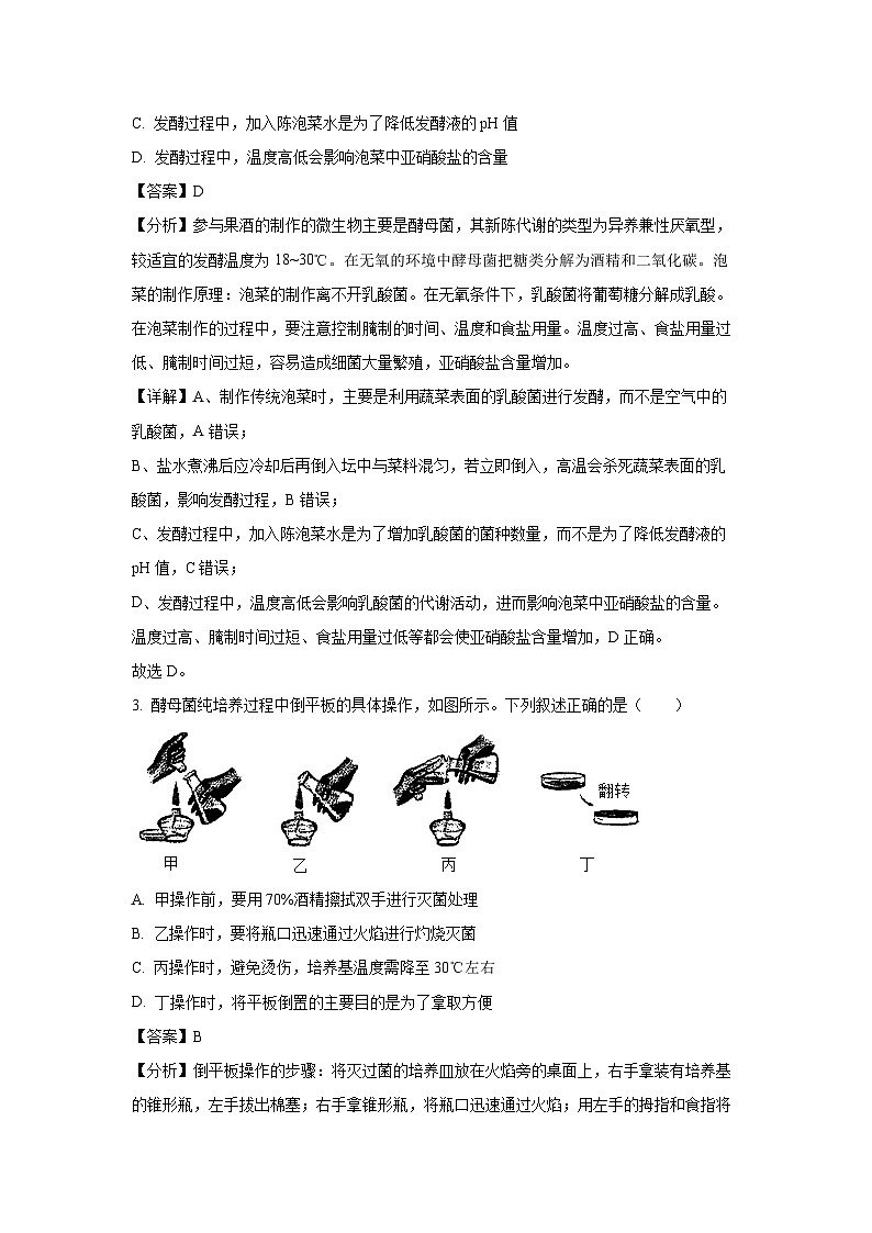 河南省洛阳市2024-2025学年高二下学期4月期中考试生物试卷（解析版）第2页