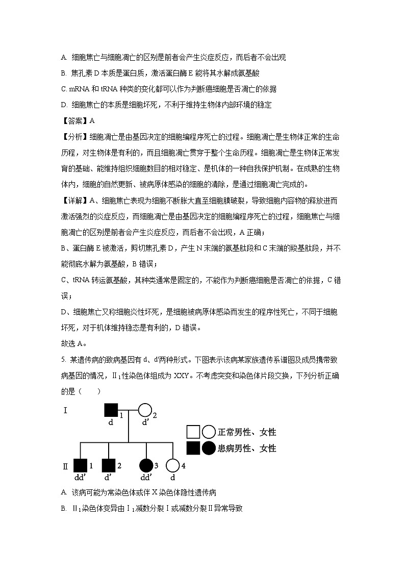 2024届江苏省南通市如皋市高三下学期二模生物试卷（解析版）第3页