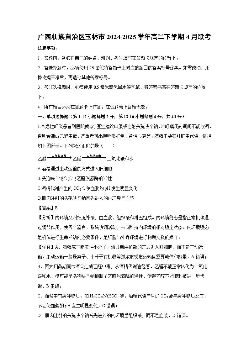 广西壮族自治区玉林市2024-2025学年高二下学期4月联考生物试卷第1页