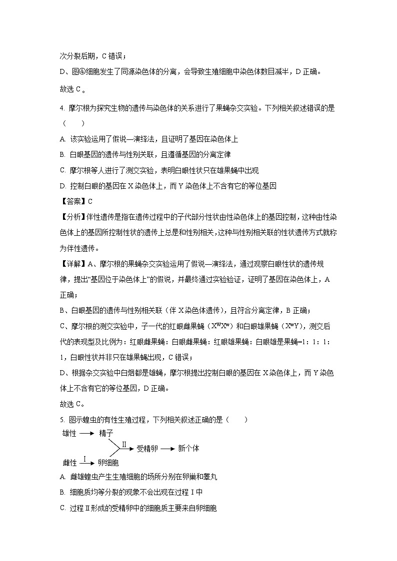 江苏省常州市2024-2025学年高一下学期4月期中生物试卷（解析版）第3页