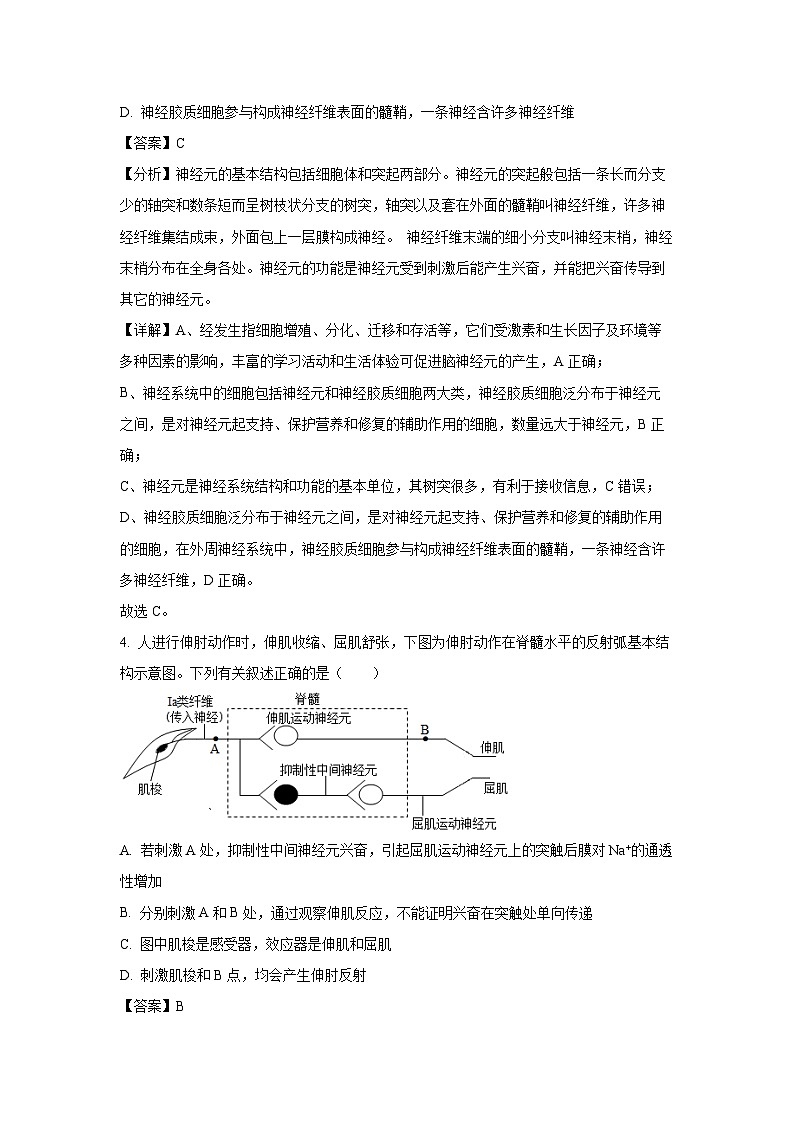 河南省漯河市2024-2025学年高二上学期期末质量监测生物试卷（解析版）第3页