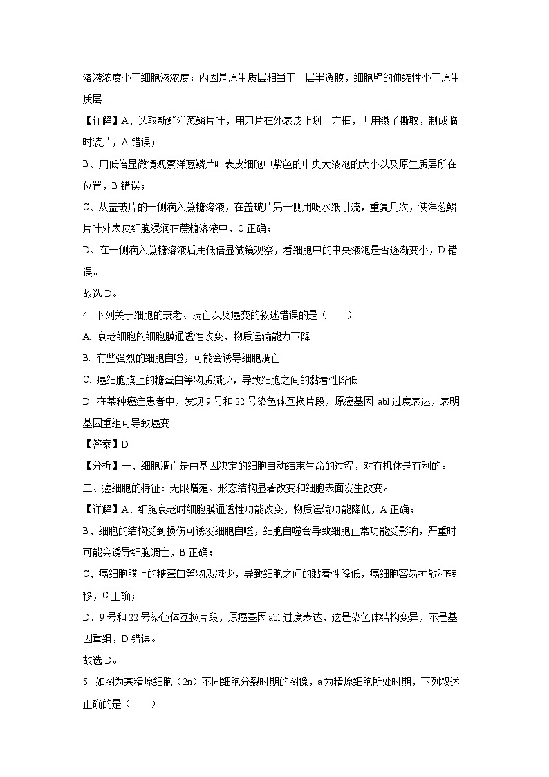 湖南省名校联考联合体2024-2025年高二上学期第二次联考生物试卷（解析版）第3页