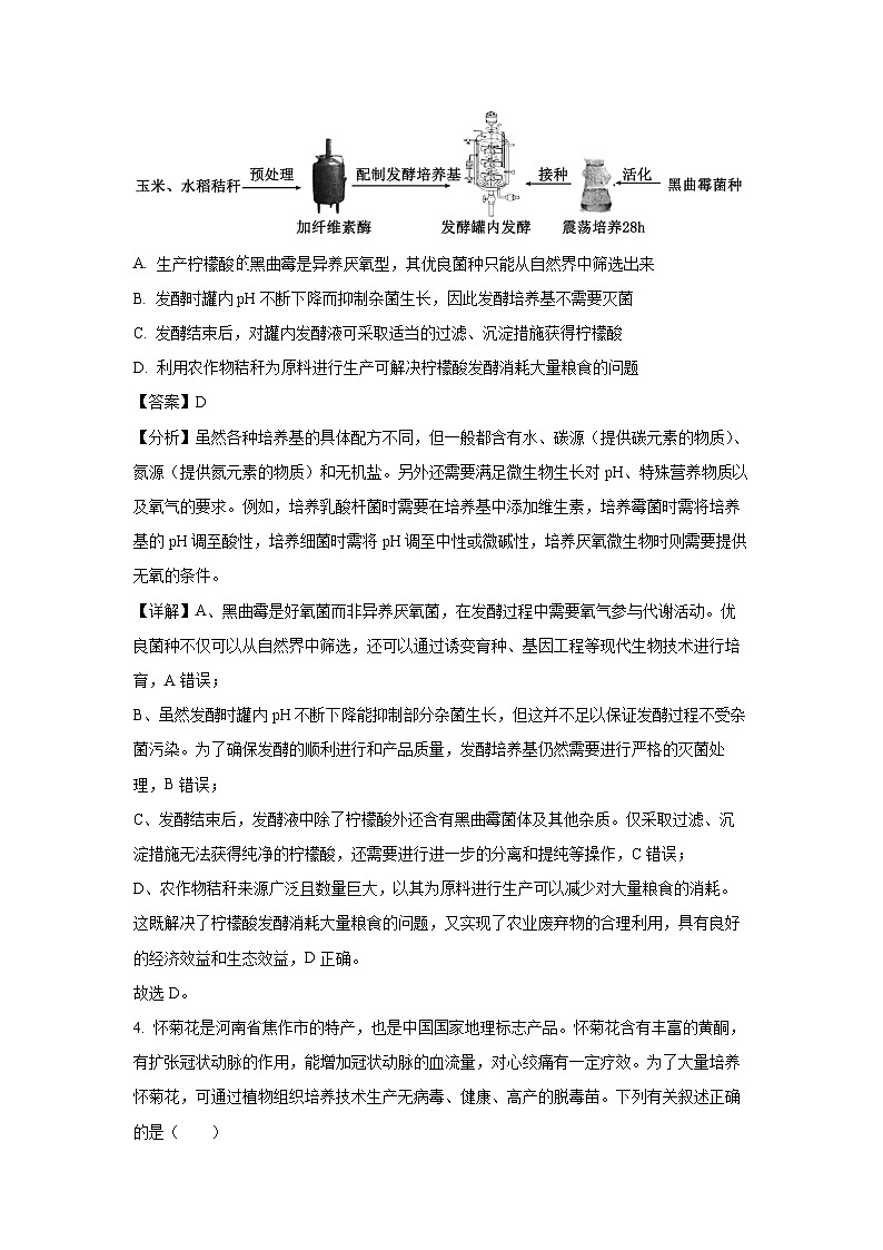 河南省百师联盟2024-2025学年高二下学期4月联考生物试卷第3页