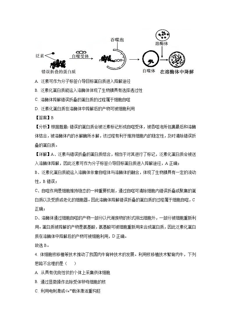 辽宁省大连市2025届高三模拟生物试卷（解析版）第3页