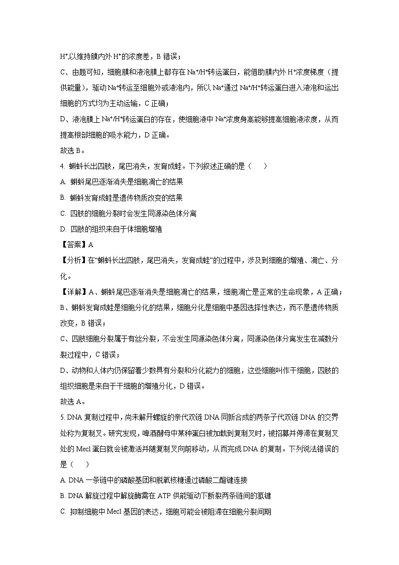 河南省豫东部分名校2025届高三三模生物试卷（解析版）第3页
