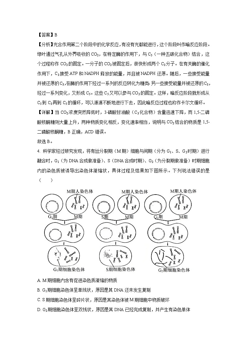 广西壮族自治区来宾市2025届高三下学期4月二模生物生物试卷（解析版）第3页