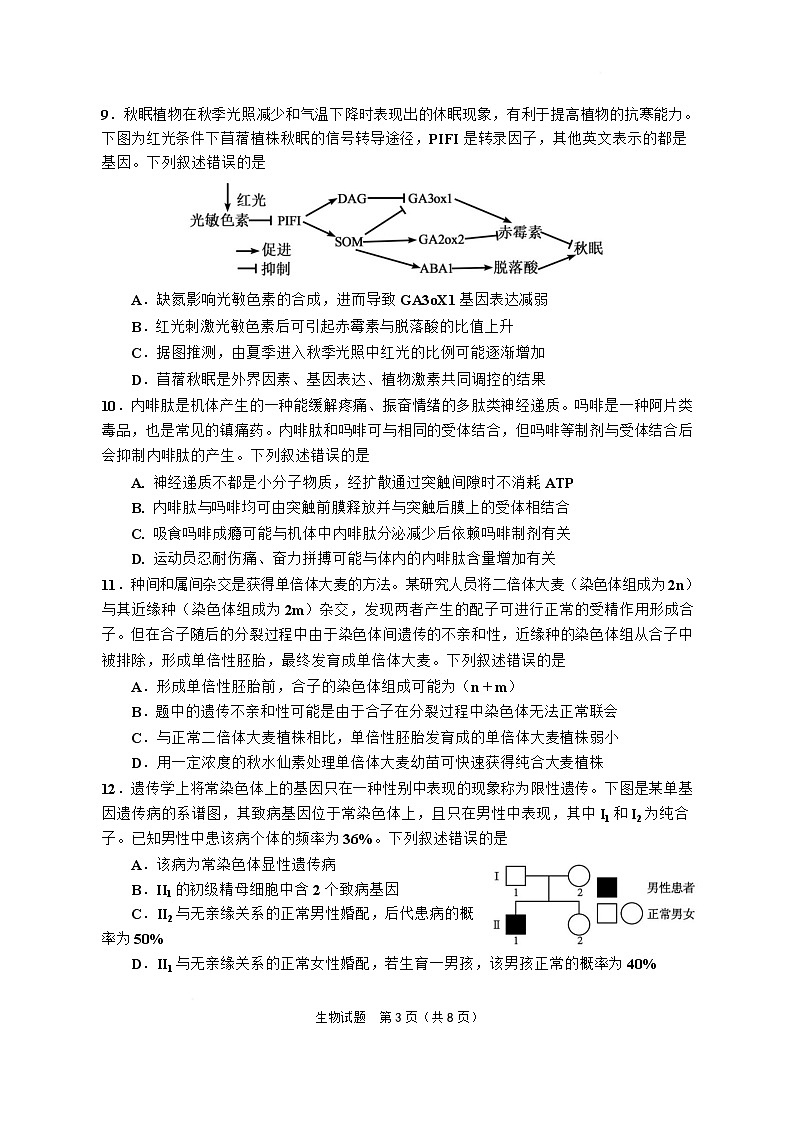 四川省射洪中学2025届高三下学期5月三模试题 生物 含答案第3页