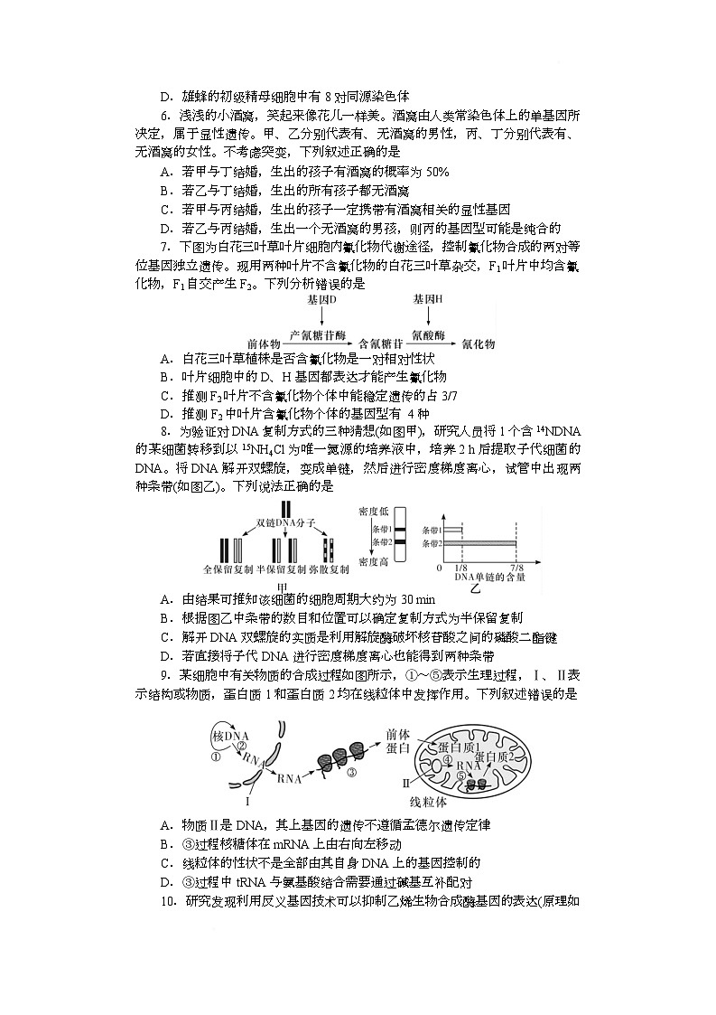 附中高一第2次大练习生物第2页
