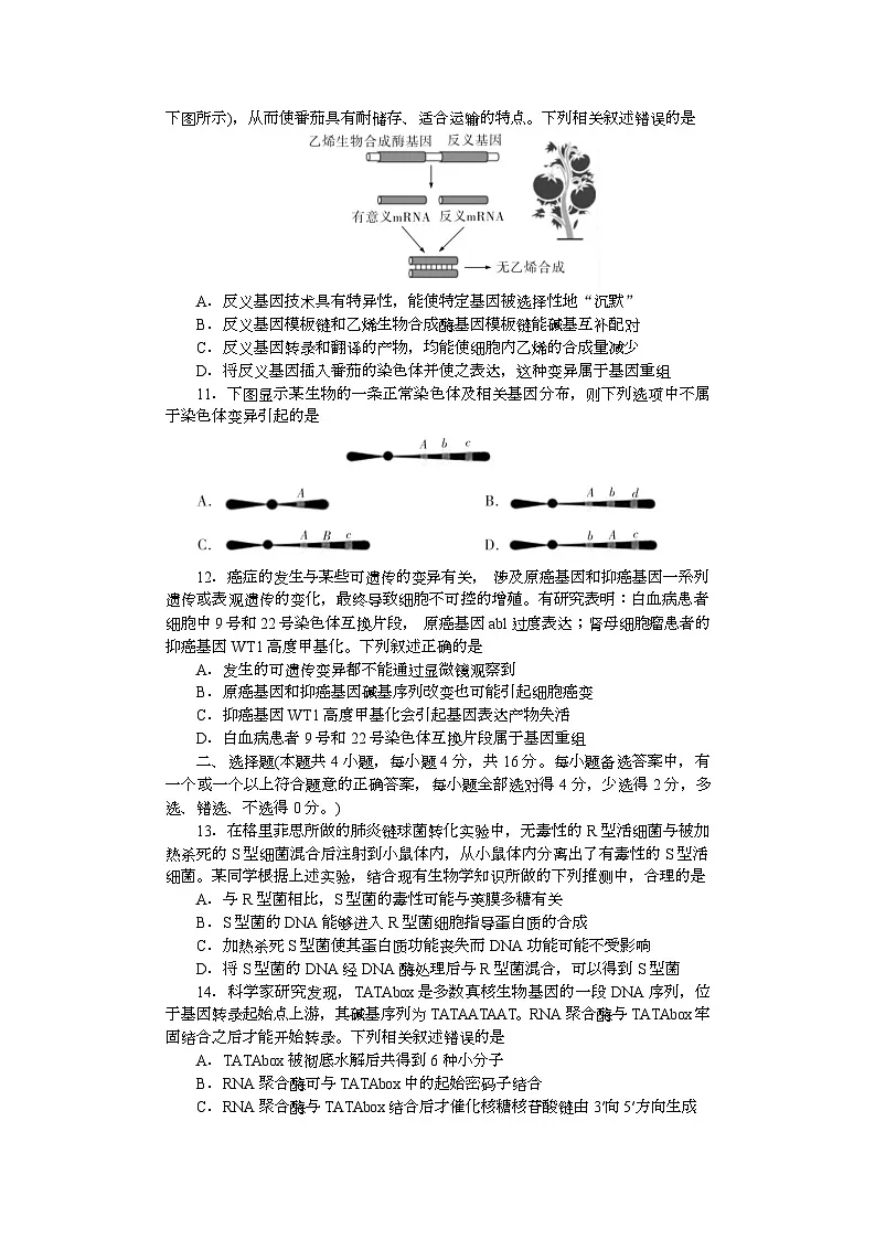 附中高一第2次大练习生物第3页
