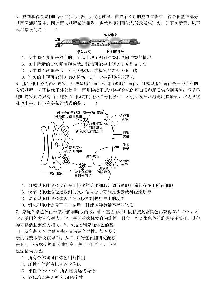河南省实验中学2025届高三高考模拟第四次模拟考-生物试题+答案第2页