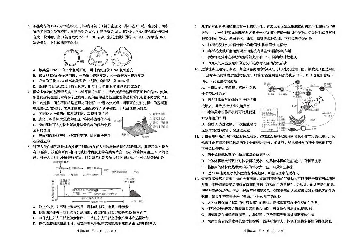 生物试题第2页