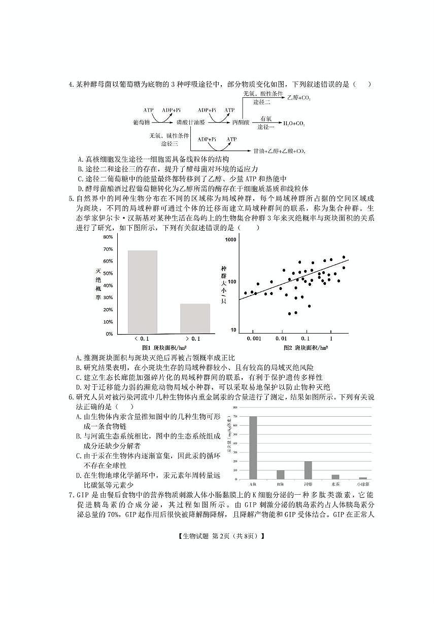 安徽省合肥市第八中学2025届高三下学期5月最后一卷生物试卷（PDF版附解析）第2页
