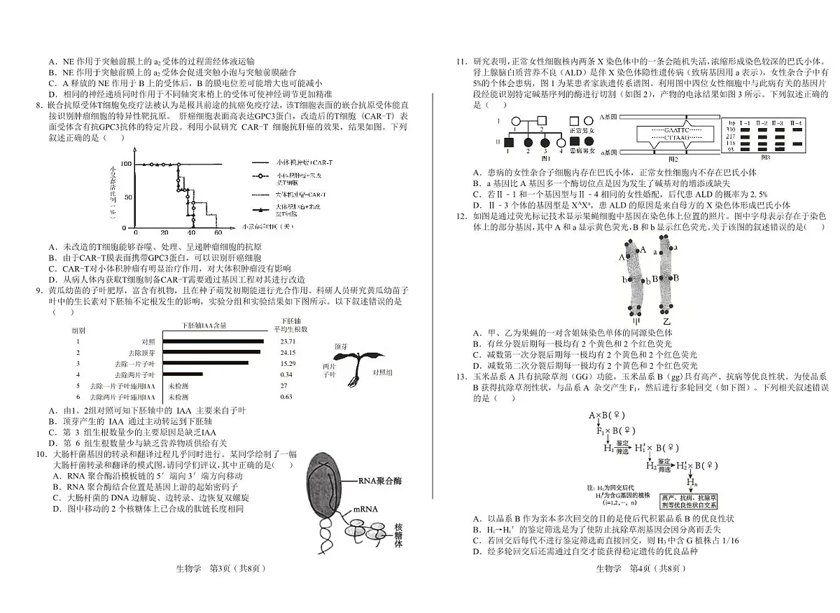 生物第2页