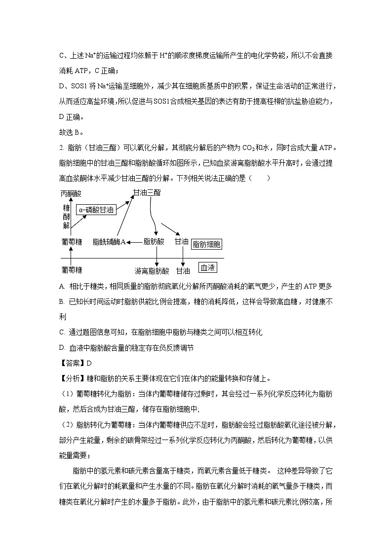 四川省部分学校2025届高三4月联考生物试卷（解析版）第2页