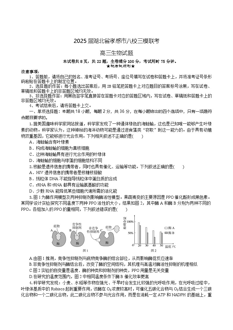 湖北省孝感市八校2025届高三下学期5月三模联考试题 生物  含答案第1页