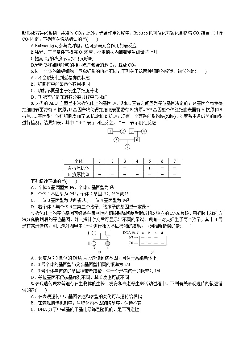 湖北省孝感市八校2025届高三下学期5月三模联考试题 生物  含答案第2页