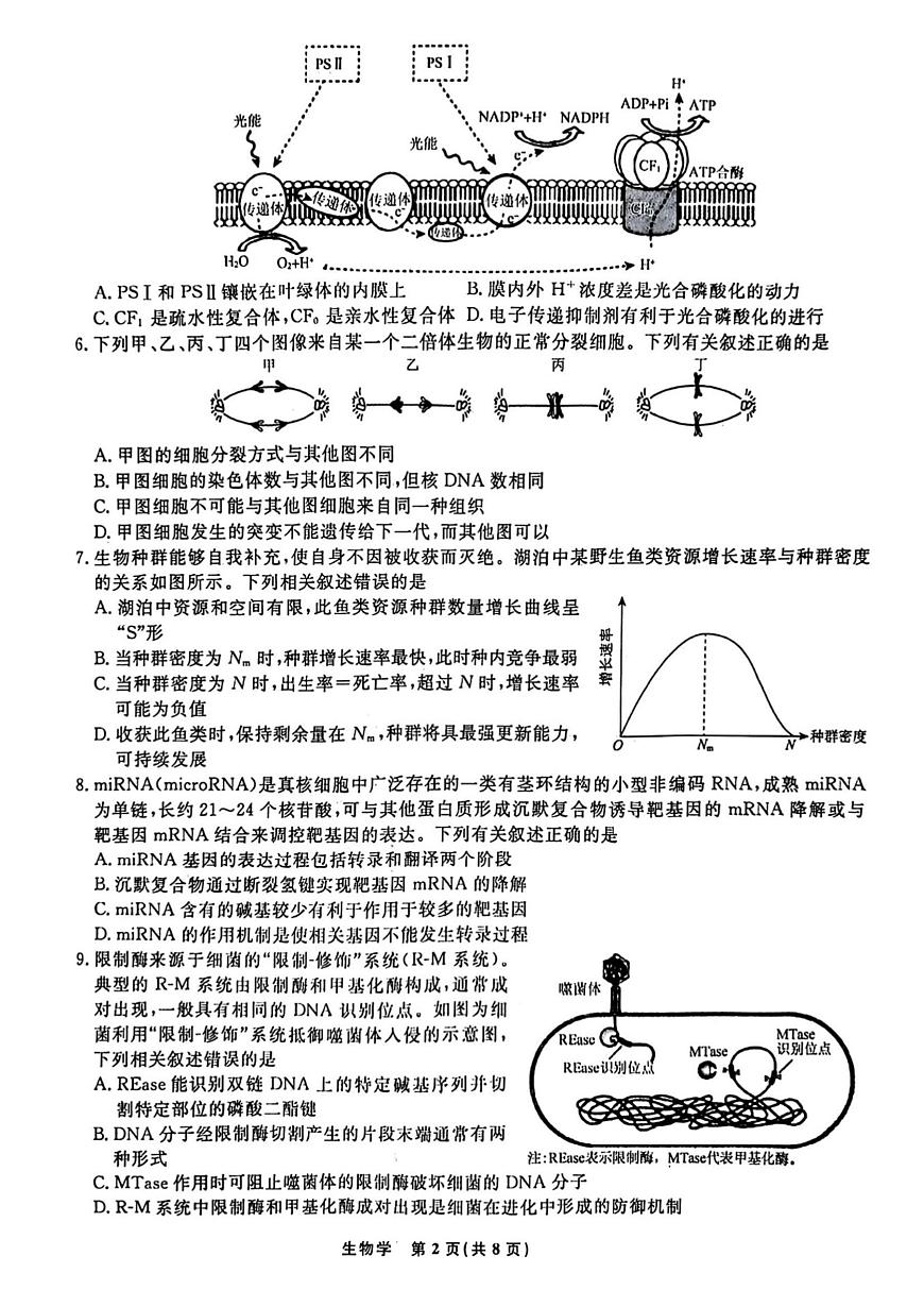 2025届辽宁名校联盟高三5月联考 生物试题（含答案）第2页