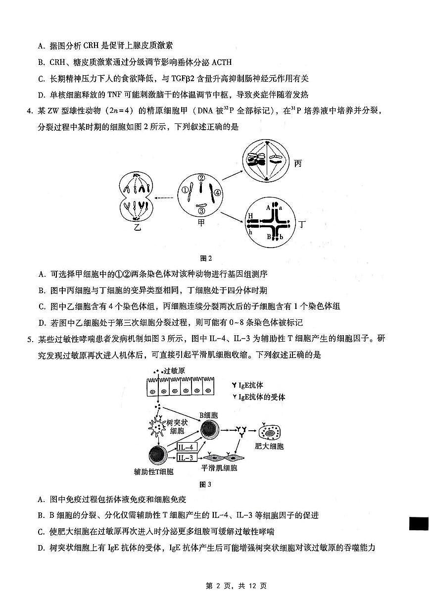 重庆市第八中学2025届高三5月适应性月考卷（七）生物第2页