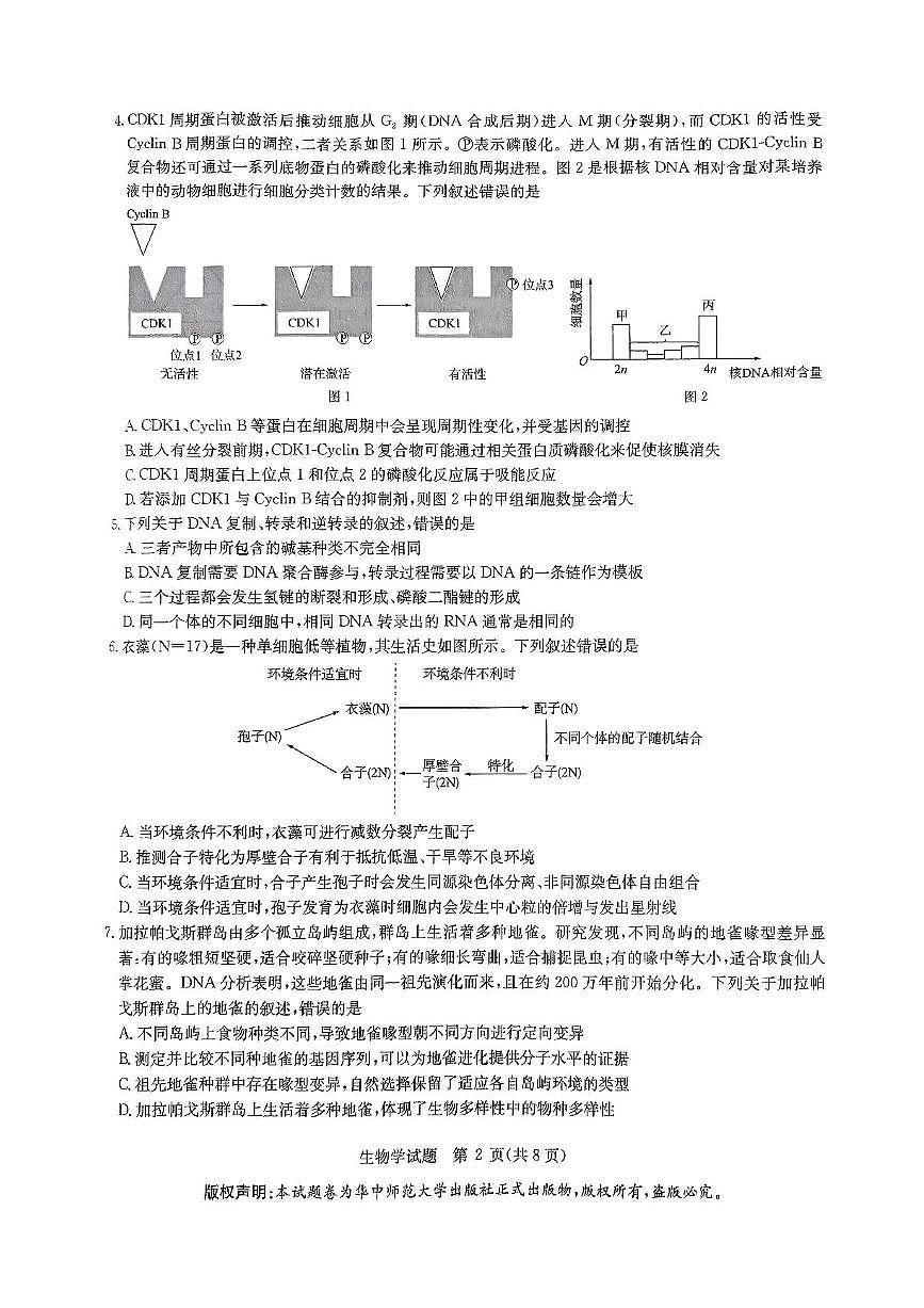华大新高考联盟2025届高三下学期5月模拟预测试题 生物 PDF版含解析第2页