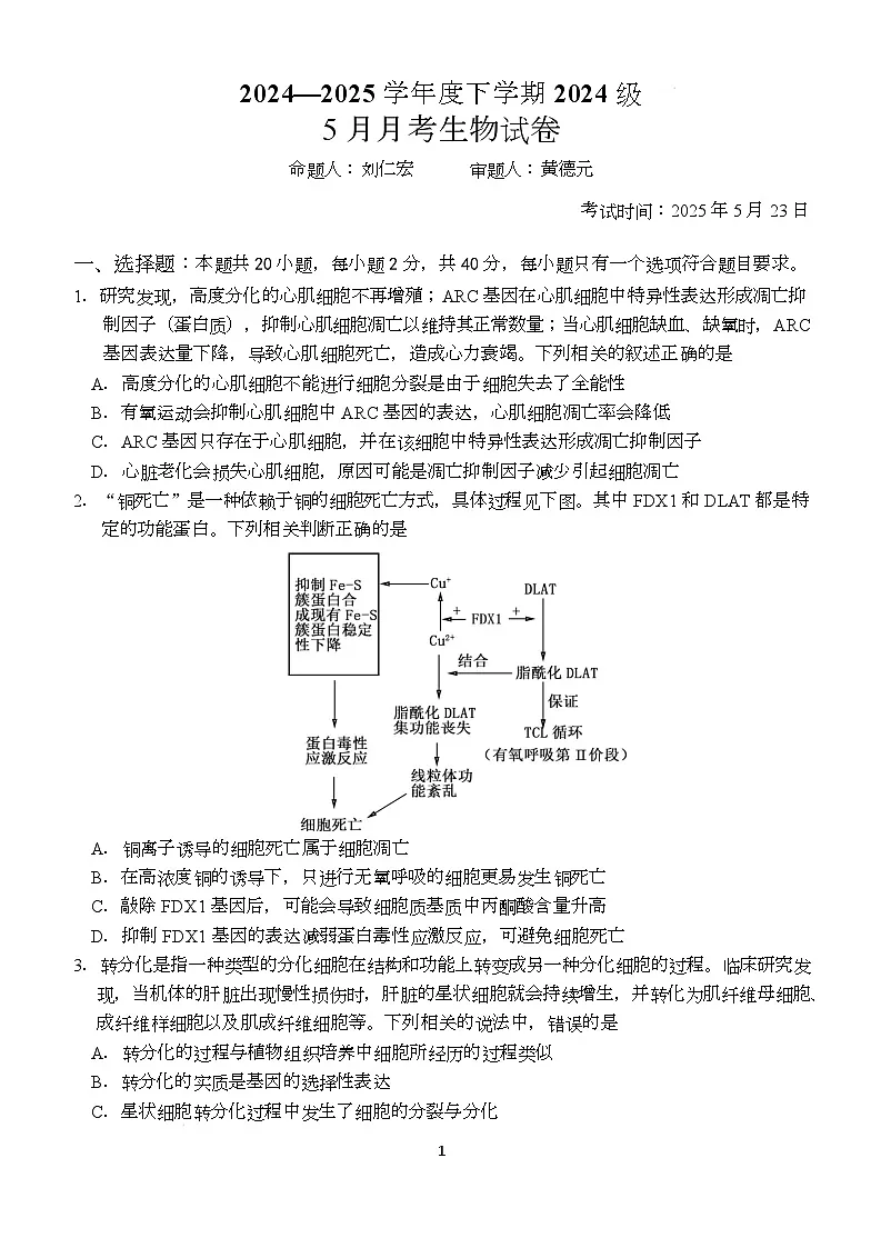 湖北省荆州市沙市中学2024-2025学年高一下学期5月月考生物试卷（Word版附答案）第1页