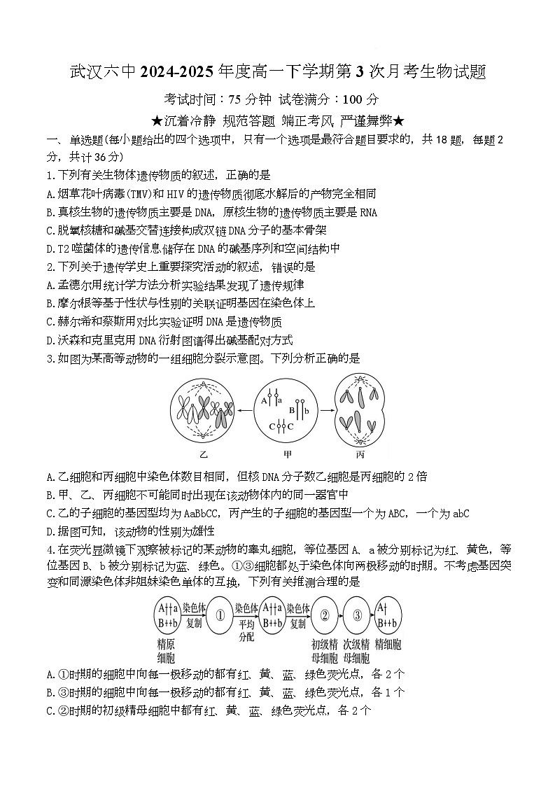 湖北省武汉市第六中学2024-2025学年高一下学期第3次月考生物试卷（Word版附答案）第1页