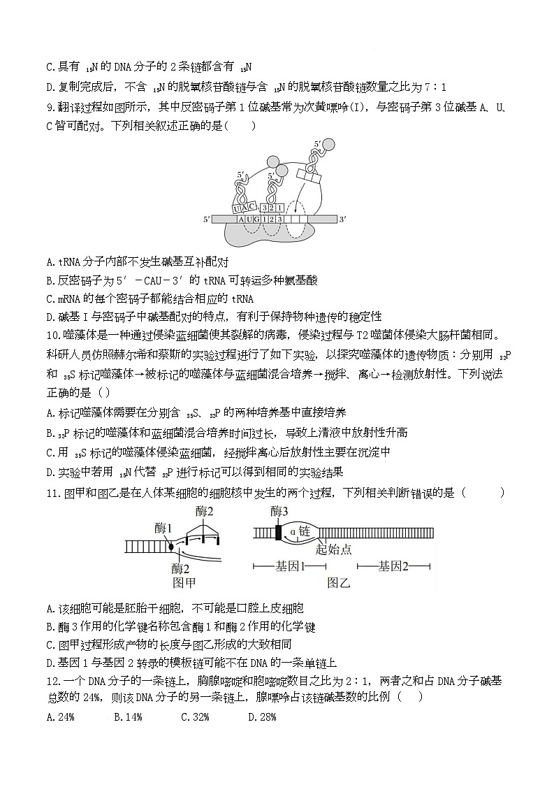 湖北省武汉市第六中学2024-2025学年高一下学期第3次月考生物试卷（Word版附答案）第3页