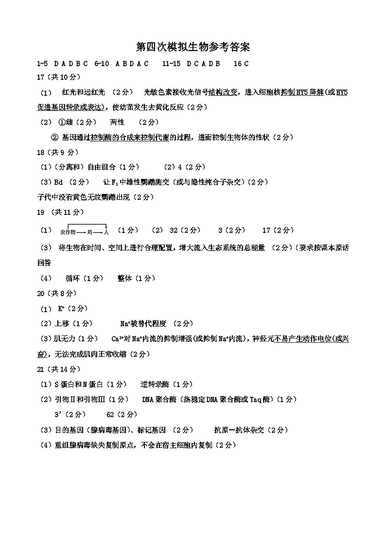 河南省实验中学2024-2025学年高三下学期第四次模拟考试生物答案第1页