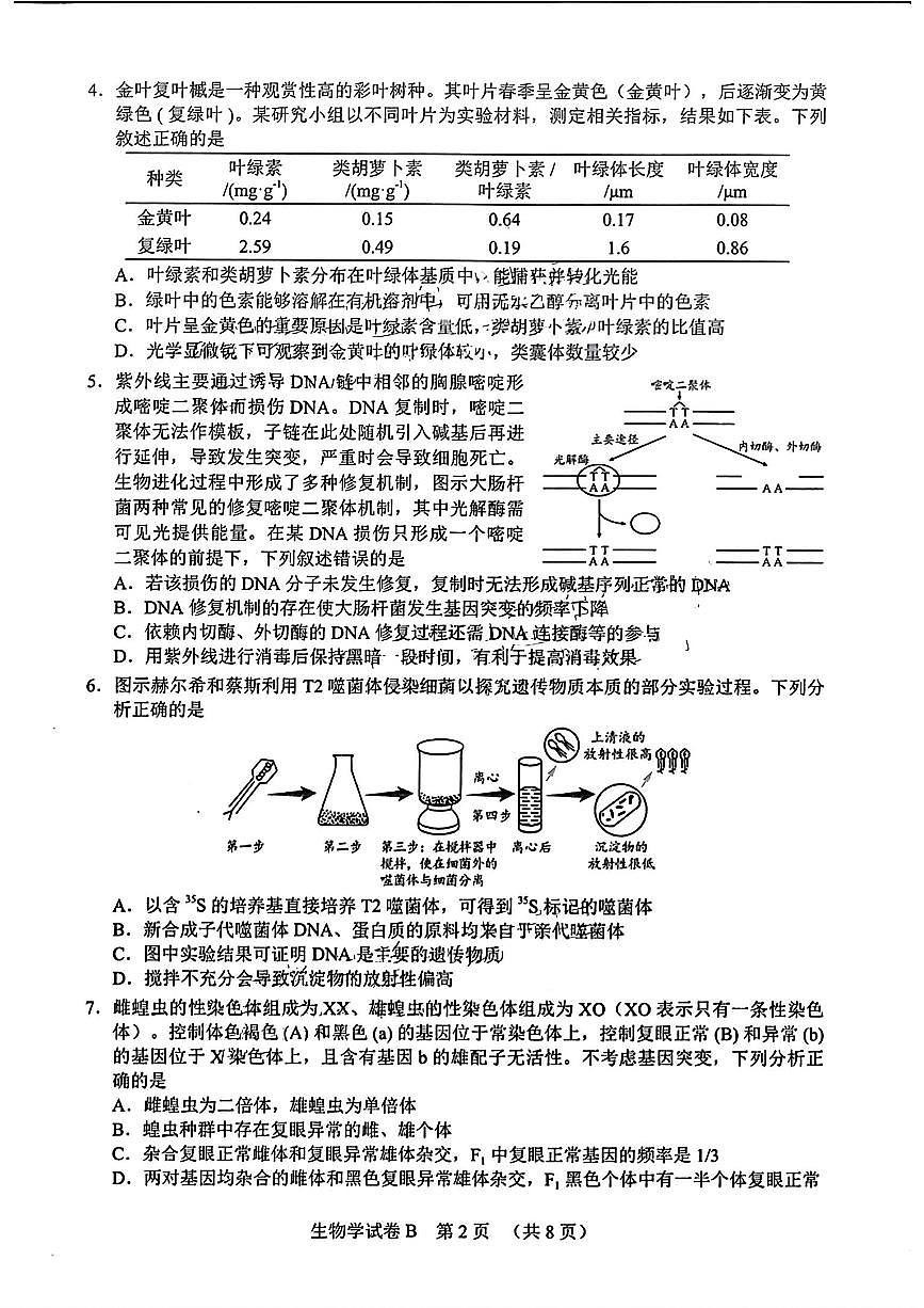 2025届广东省广州市高三下学期4月二模生物试题（含答案）第2页