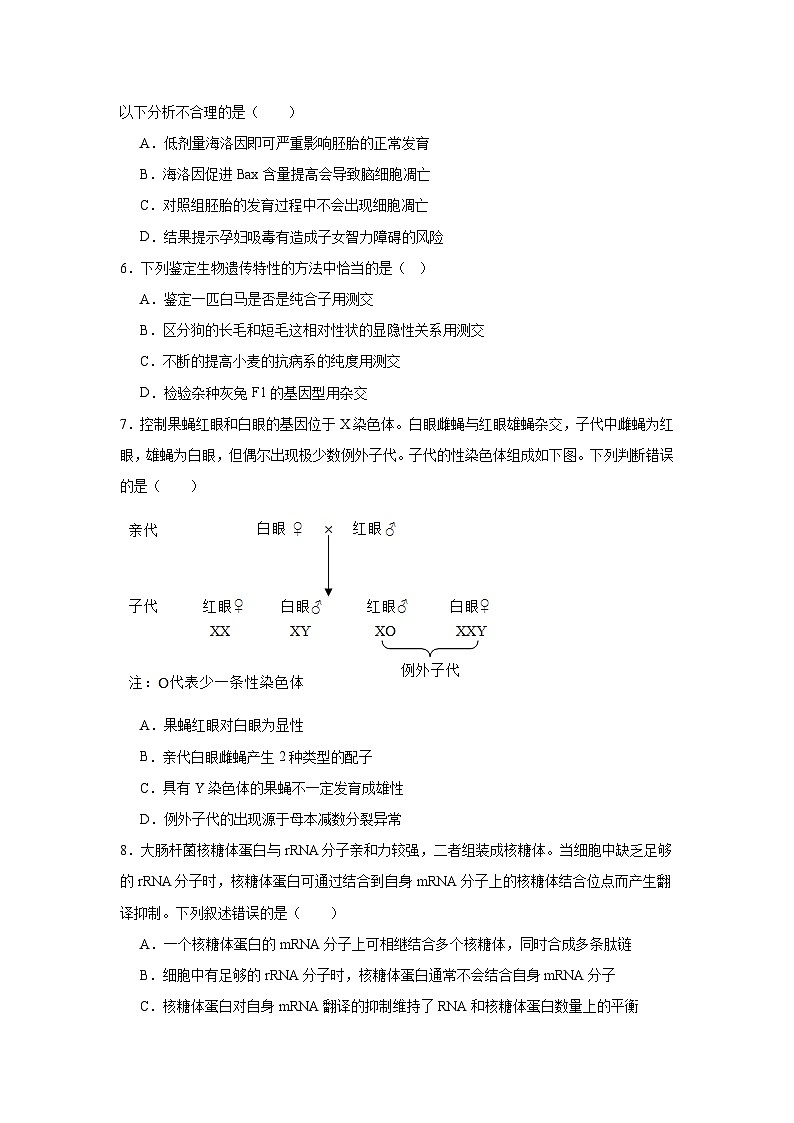 2025届湖北省襄阳随州八校联考高三三模生物试题（无答案）第3页