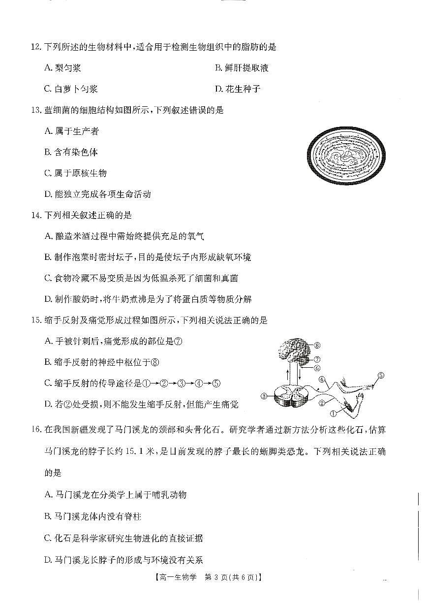 扫描件_生物第3页