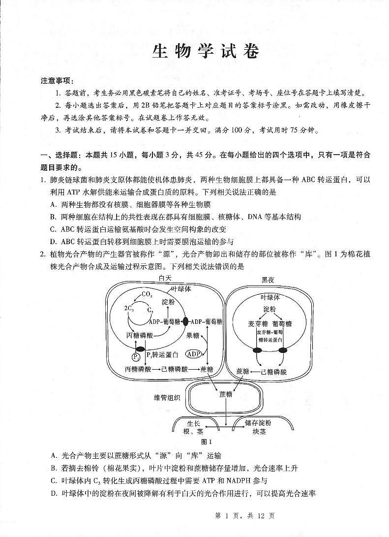 重庆市第八中学2025届高三5月适应性月考卷（八）生物第1页