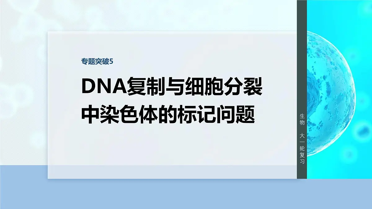 第四单元　专题突破5　DNA复制与细胞分裂中染色体的标记问题第1页