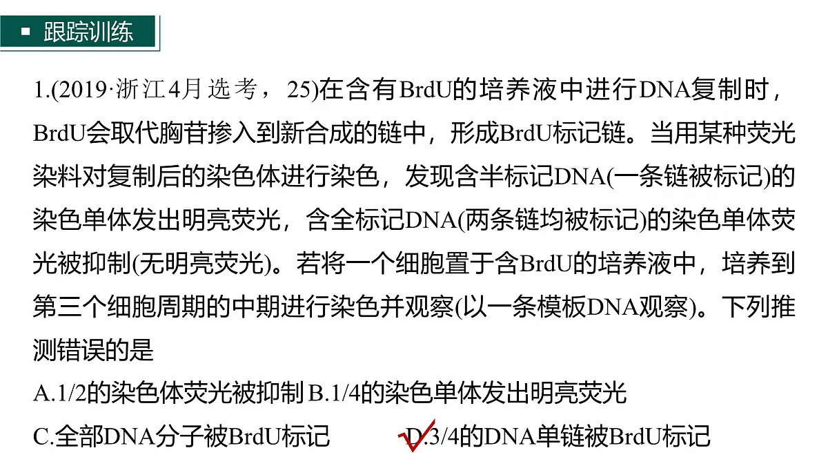 第四单元　专题突破5　DNA复制与细胞分裂中染色体的标记问题第7页