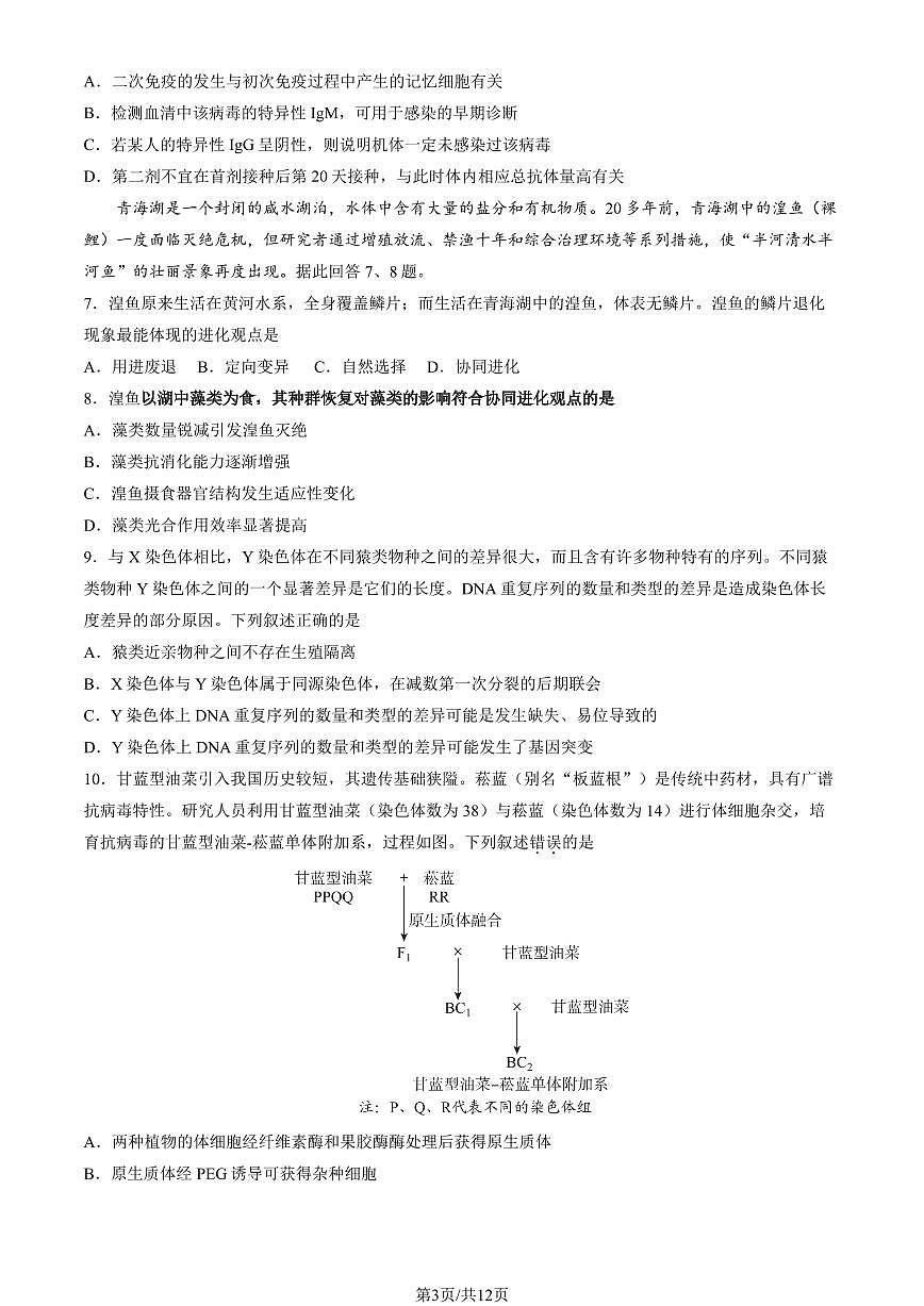 2025北京精华学校高三三模[高考模拟]生物试卷（教师版）第3页