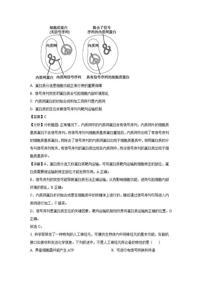 江西省2025届高三下4月联考生物试卷（解析版）第2页