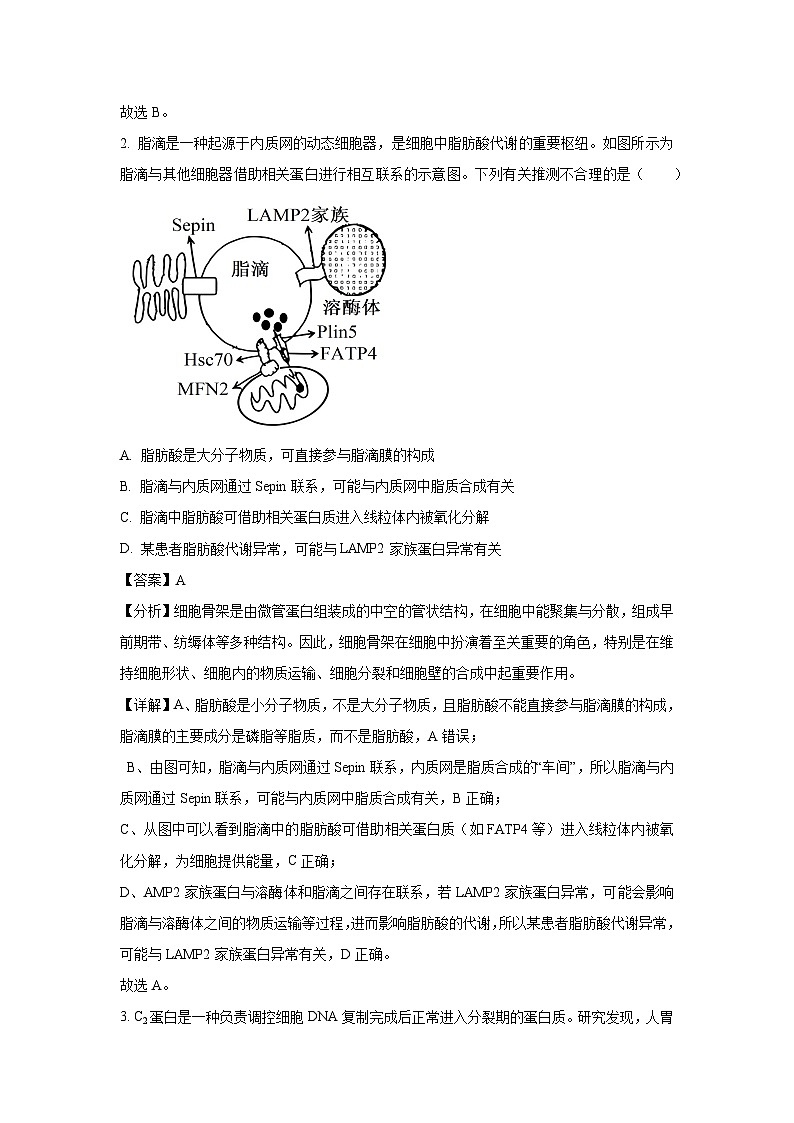 贵州省遵义市2025届高三下学期第三次适应性考试生物试卷（解析版）第2页