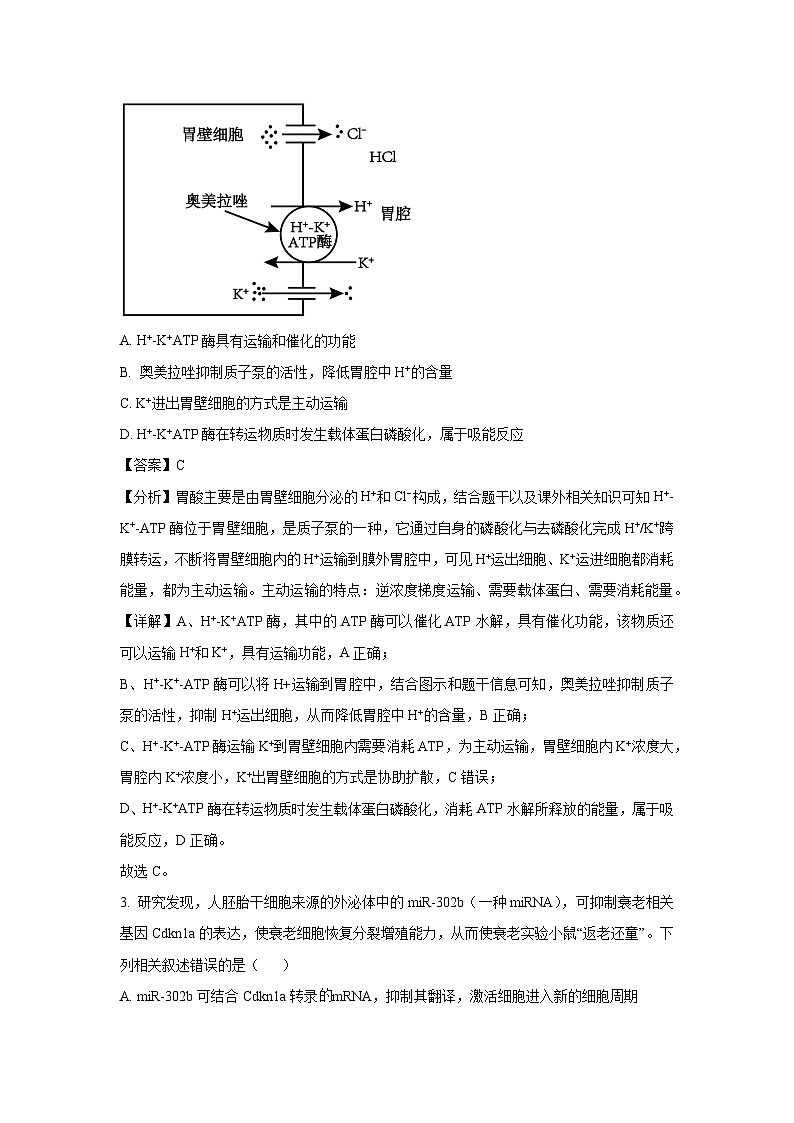 海南省海口市2025届高三高考仿真模拟生物试卷（解析版）第2页